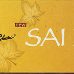 Padmini - Sai Kasturi