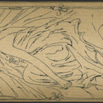 Elbenzauber - Tallisin Kräuter