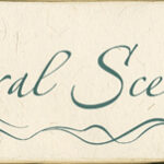 Sonnentag - Natural Scents - Kailash