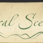 Sonnentag - Natural Scents - Laxmi